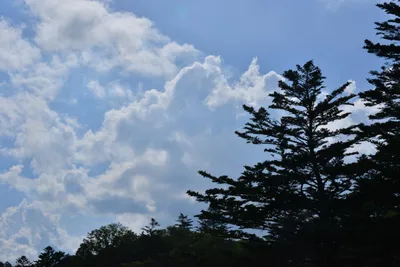 DSC_3966 (Large).JPG